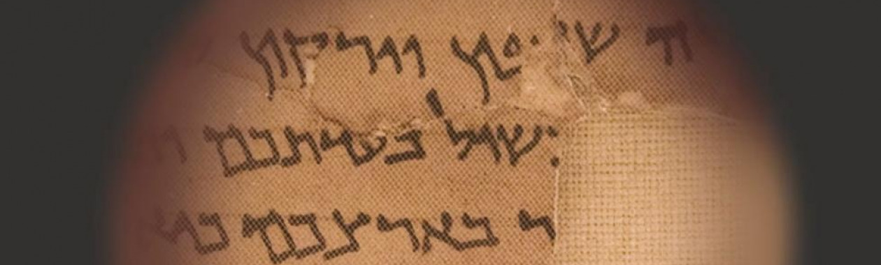 פרסומים נבחרים